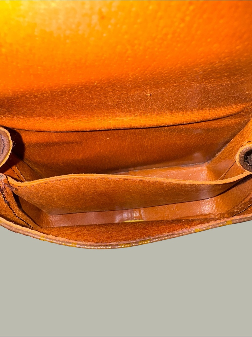 Louis Vuitton Cartouchière MM, Dust Bag , Entrupy COA - Picture 7 of 10